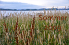 Sommerferie i Norge 2009