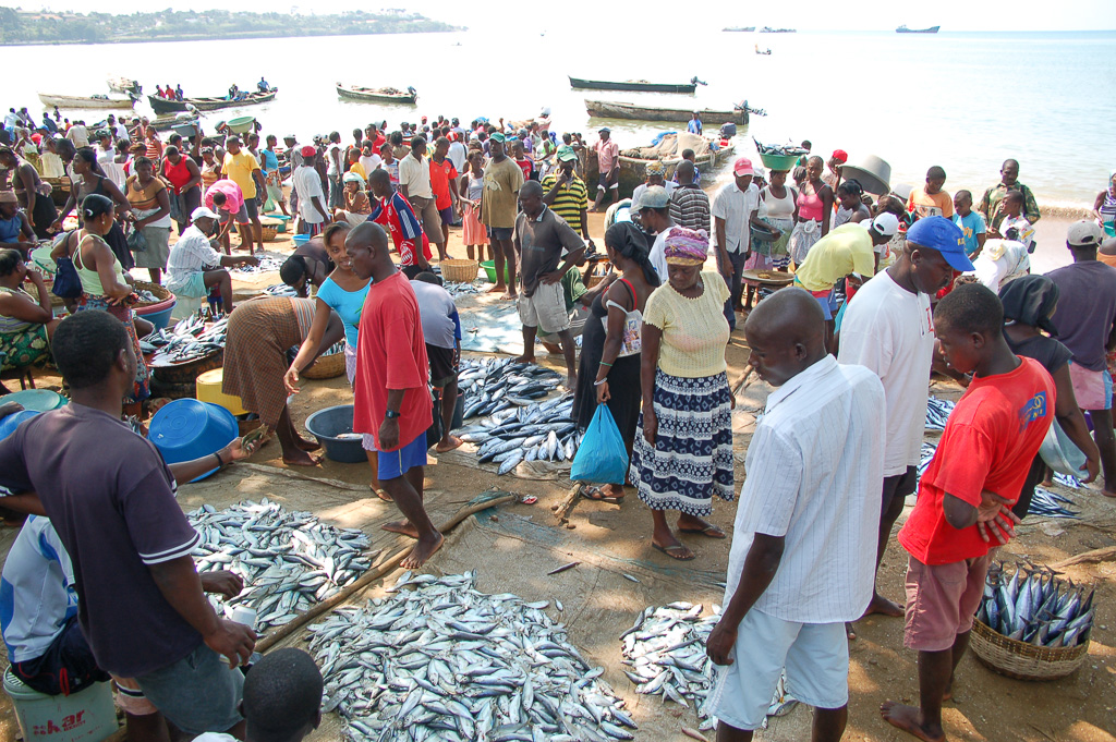 Fish market