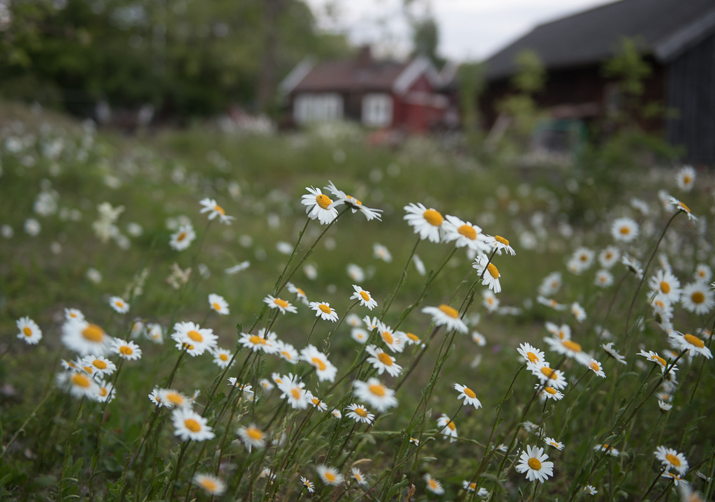 Gården på Bleikøya