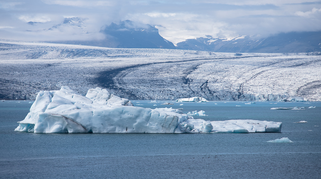 Breiðamerkurjökull in the backtround