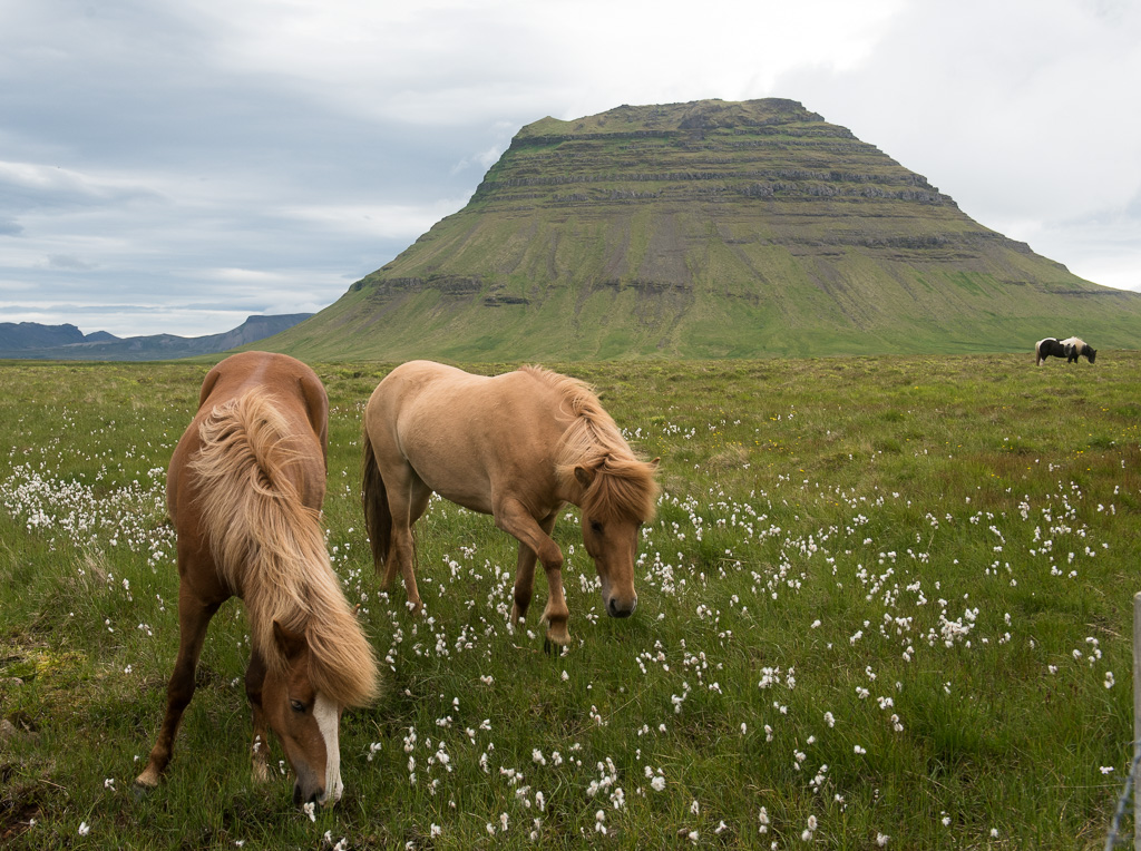 Kirkjufell, Snæfellsnes.