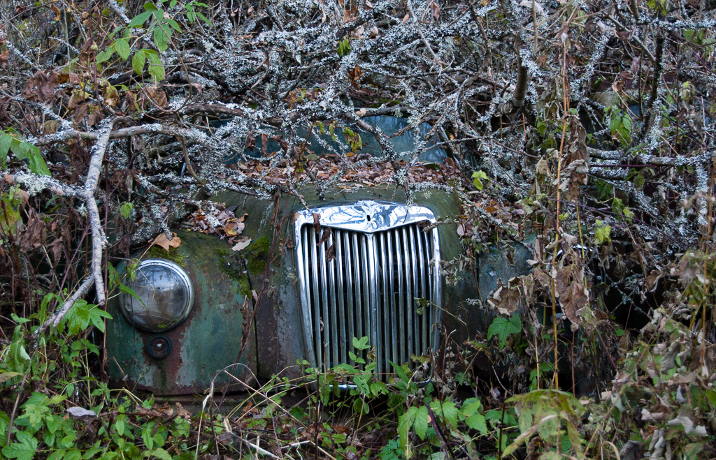 MG Magnette