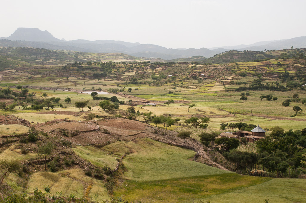 Tigray