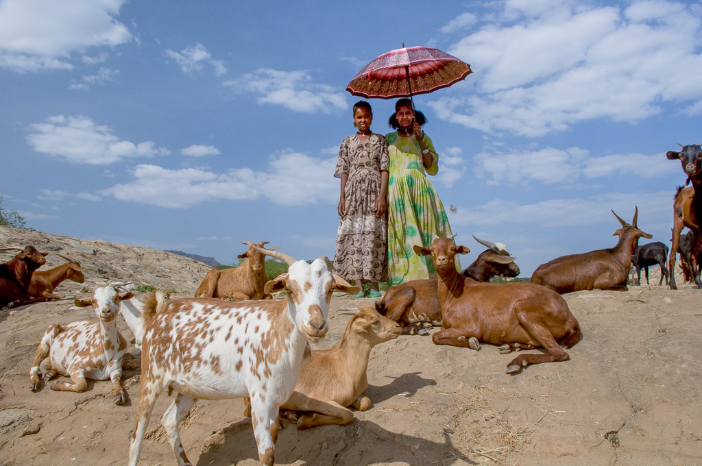 Tigray