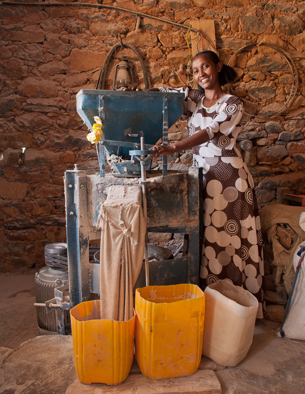 Micro business project by REST in Tigray