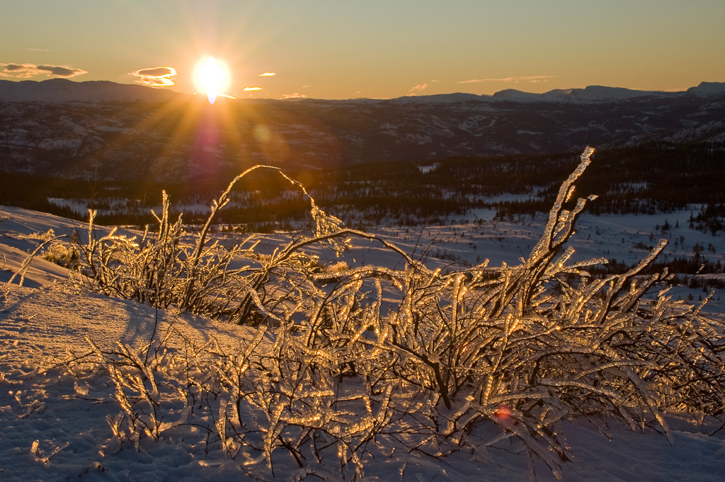 Hallingdalen