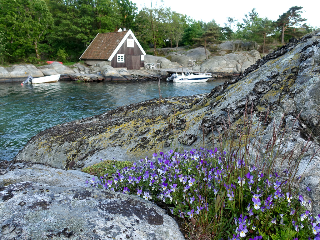 Sjøbua på Bergsøy, bildet tatt på Bukkholmen