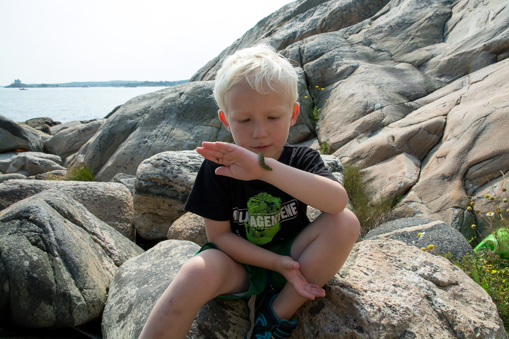 Einar har funnet en larve. Saltholmen i bakgrunnen