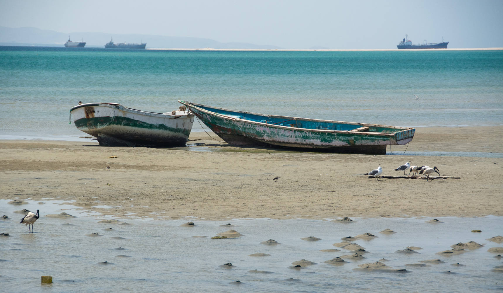 Berbera harbour